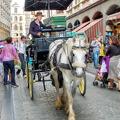 Horse and carriage ride down Rue de l'Etuve on a horse and carriage